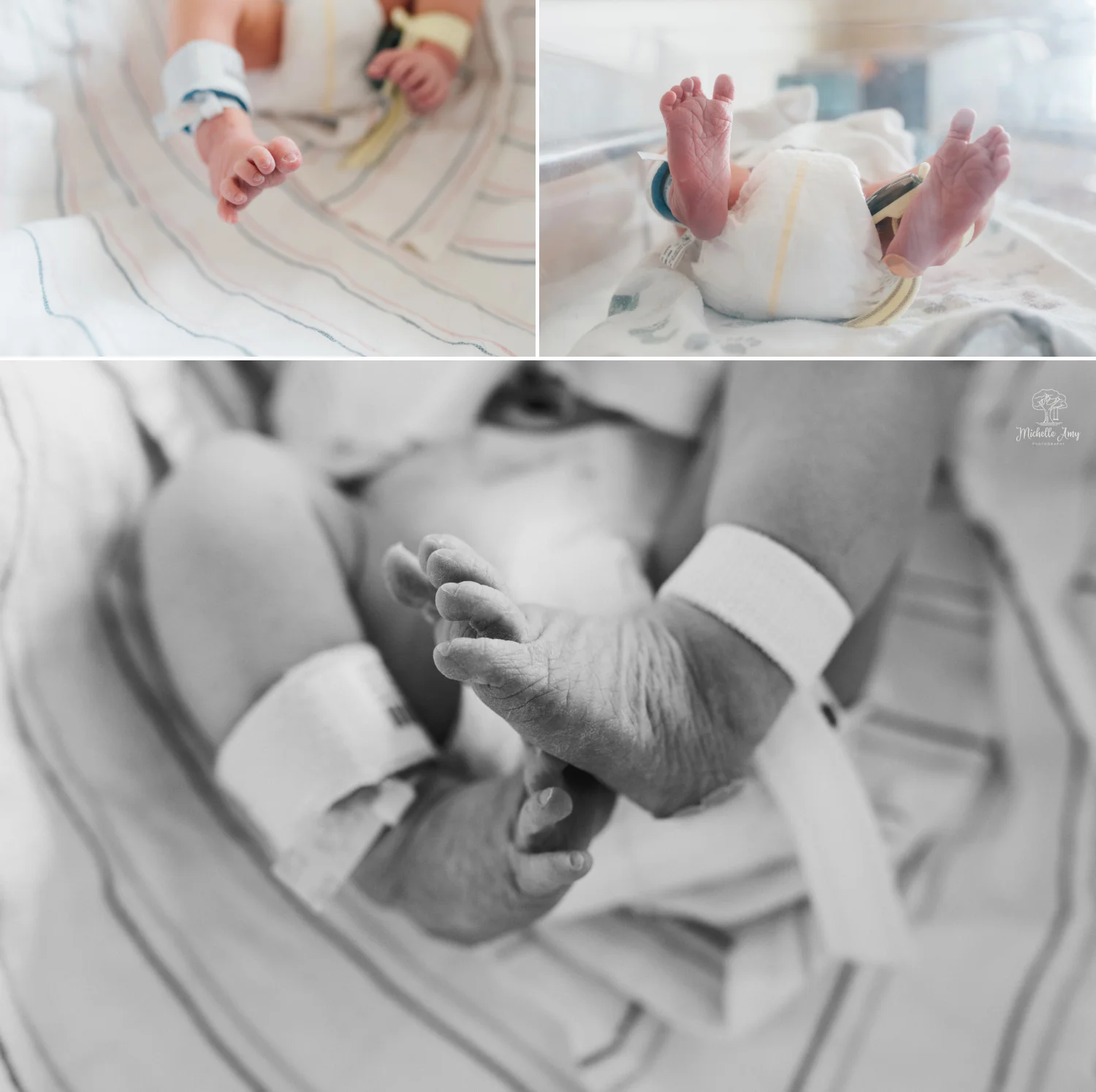 Monmouth County NJ Fresh 48 Newborn Pictures