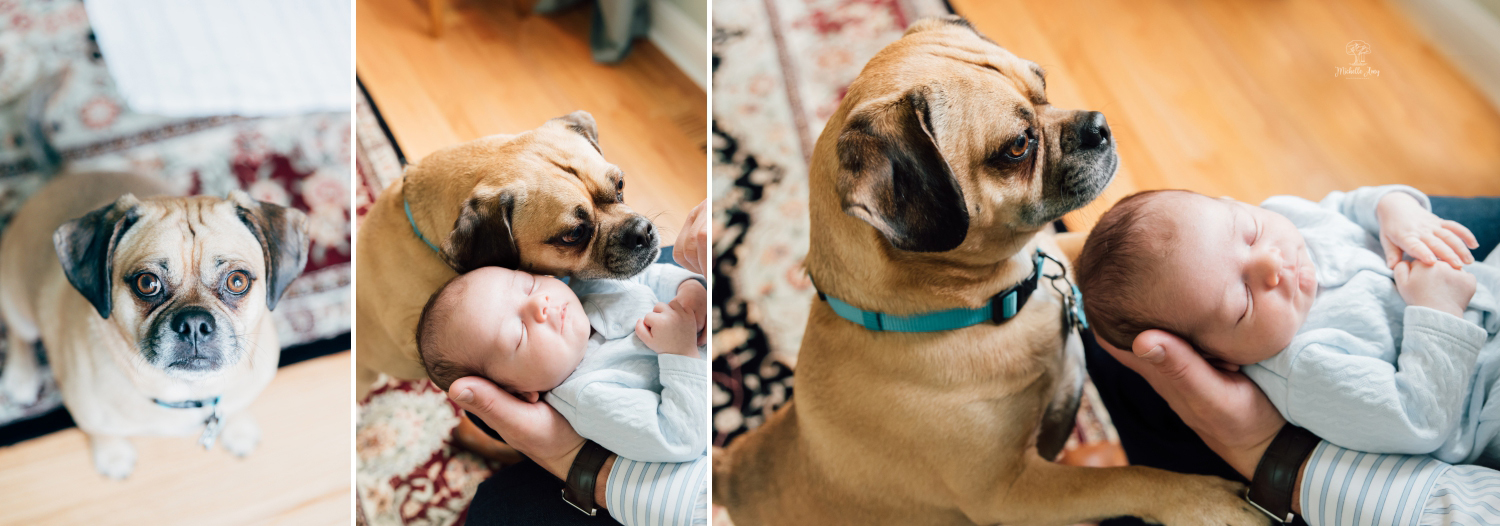 In Home Lifestyle Newborn Photography Session Monmouth County New Jersey