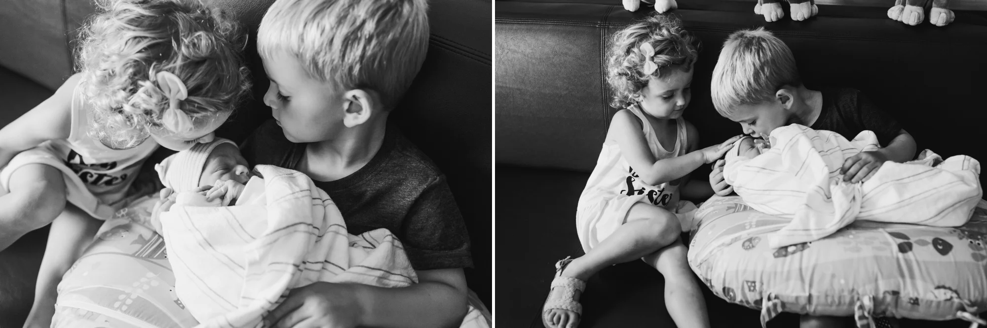 Monmouth County New Jersey Fresh 48 Photography Session