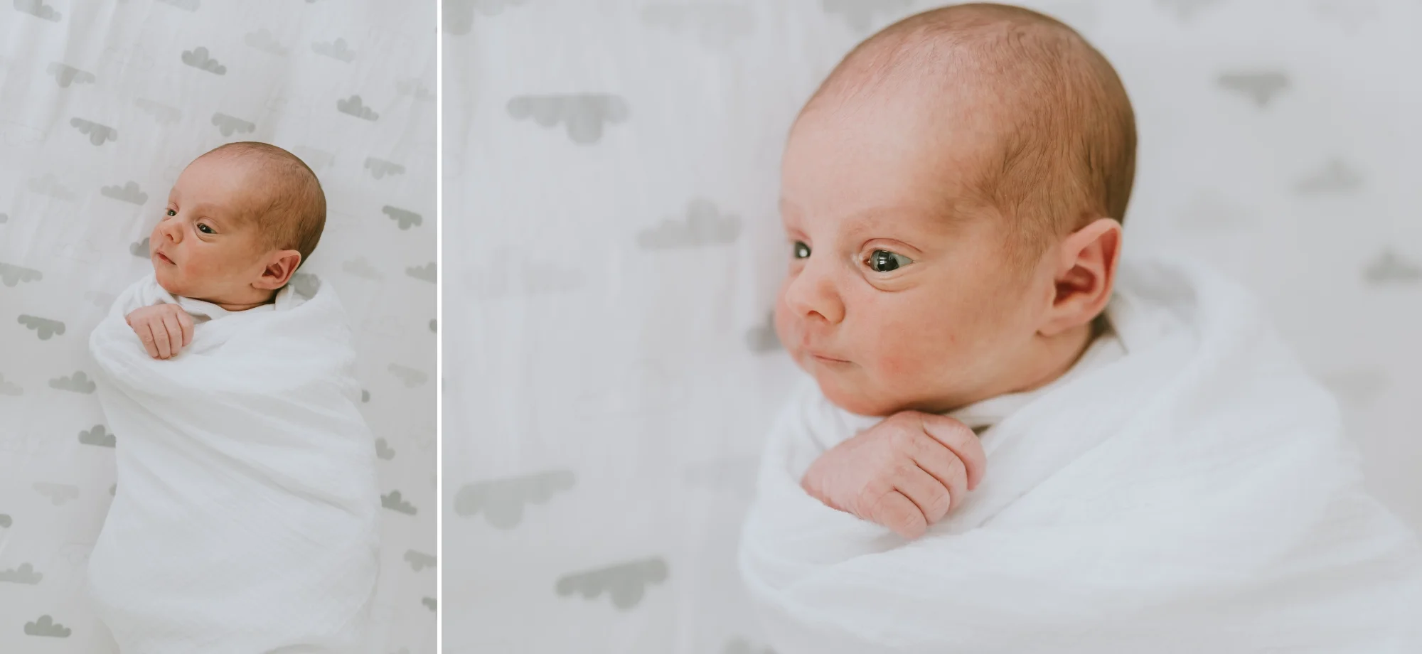Copy of Highlands New Jersey In Home Lifestyle Newborn Pictures