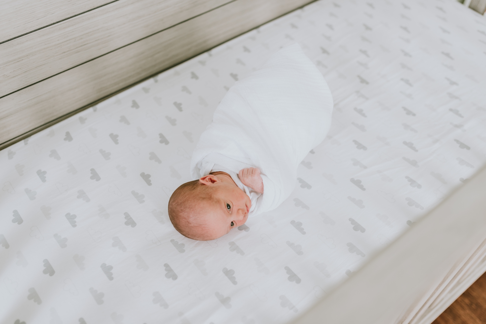 Copy of Highlands New Jersey In Home Lifestyle Newborn Pictures