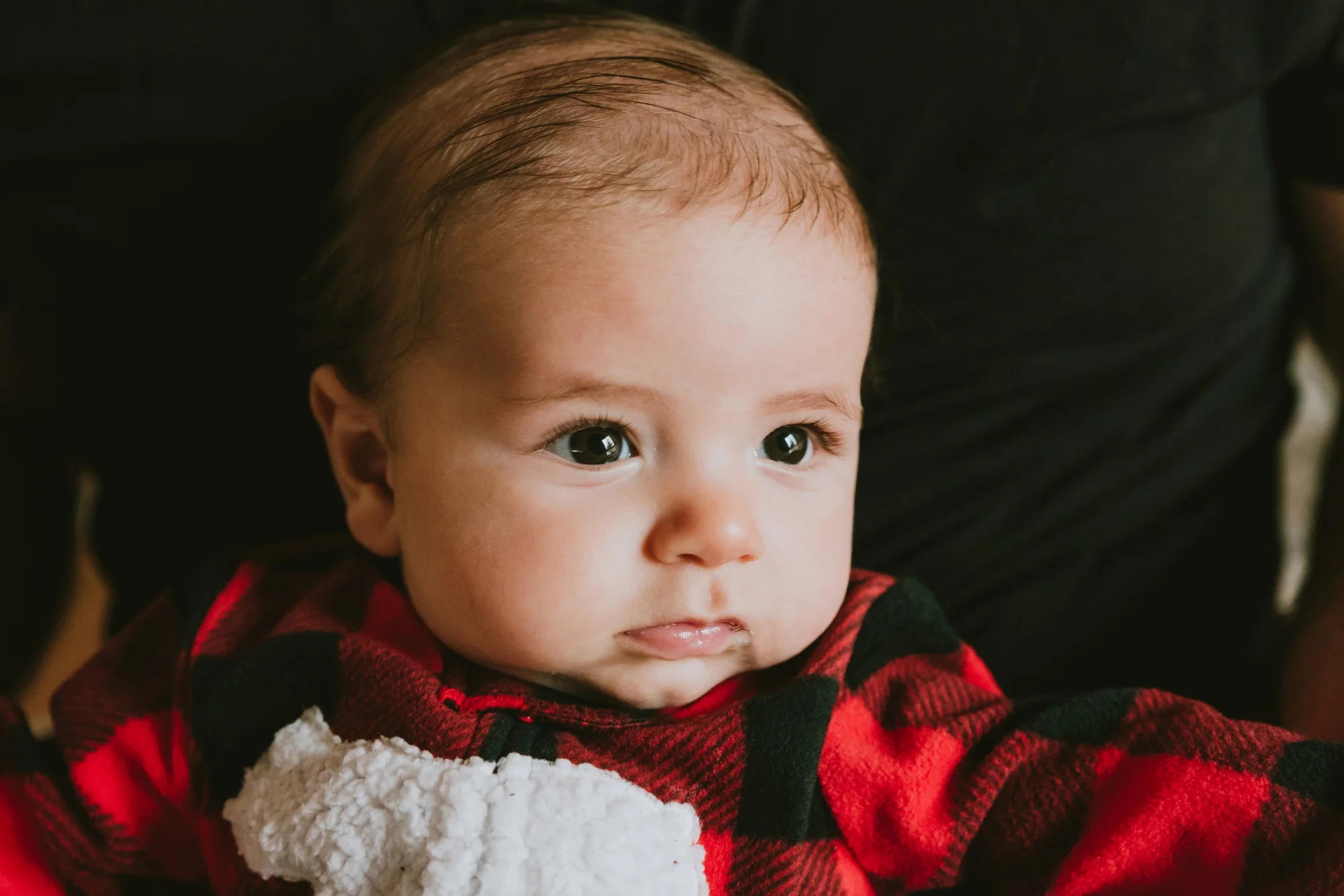 In-Home Family Christmas Holiday Pictures Monmouth County New Jersey