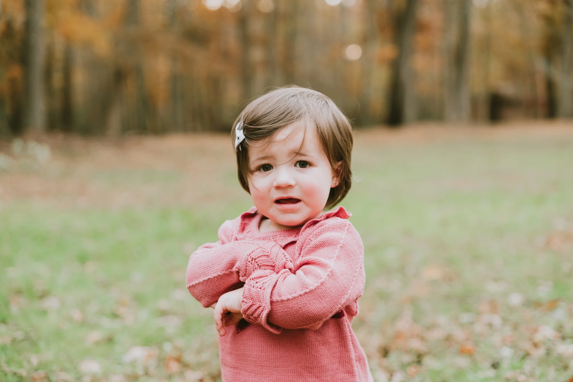 Christmas Mini Photography Session Allaire State Park Farmingdale New Jersey