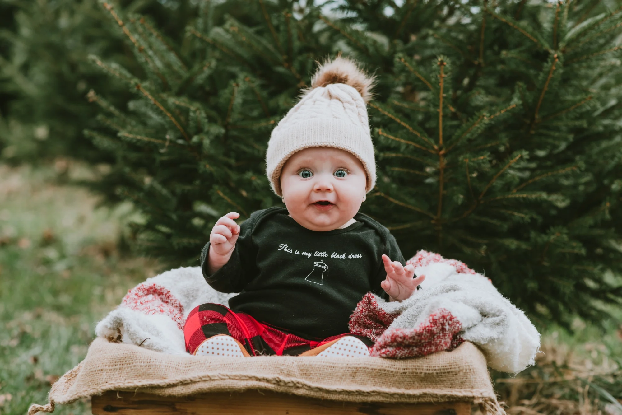 Christmas Mini Photography Session Conover's Farm, Wall New Jersey