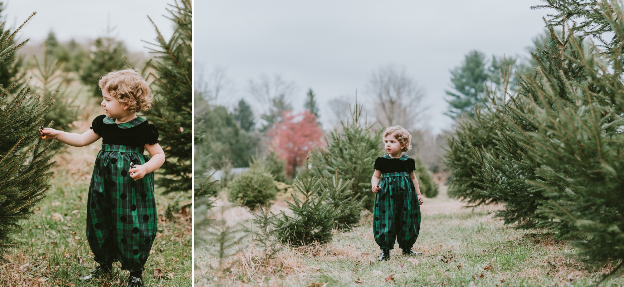 Christmas Mini Photography Session Conover's Farm, Wall New Jersey