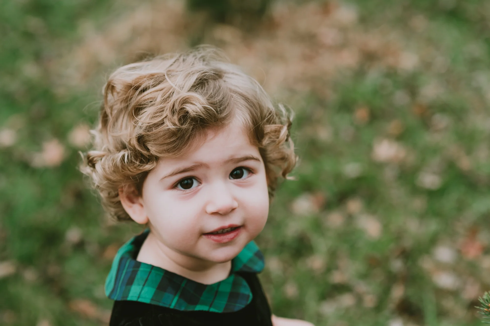 Christmas Mini Photography Session Conover's Farm, Wall New Jersey
