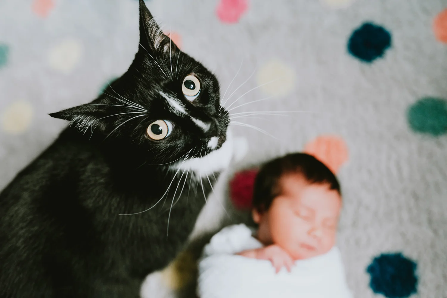 In-Home lifestyle newborn portrait photography session middlesex county new jersey