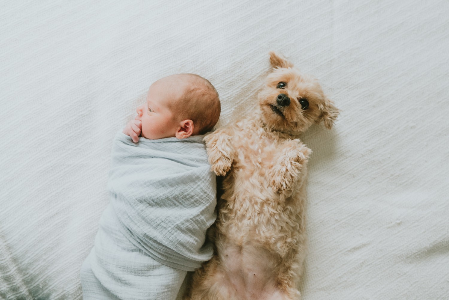 Lifestyle Newborn Photography Session Belmar New Jersey