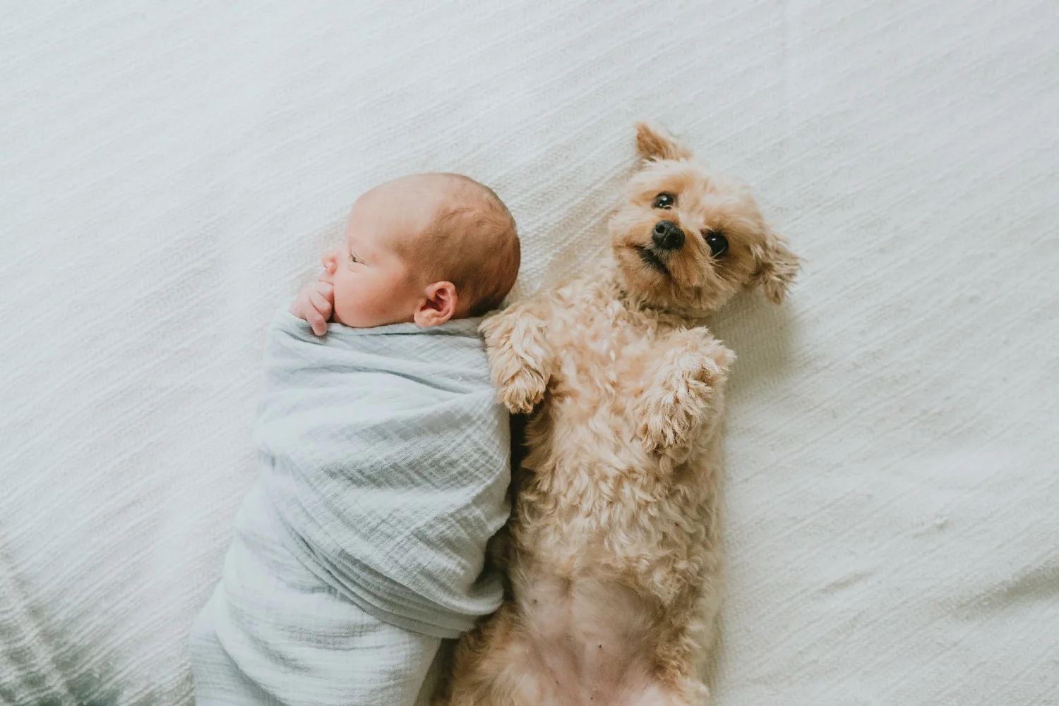 Lifestyle Newborn Photography Session Belmar New Jersey