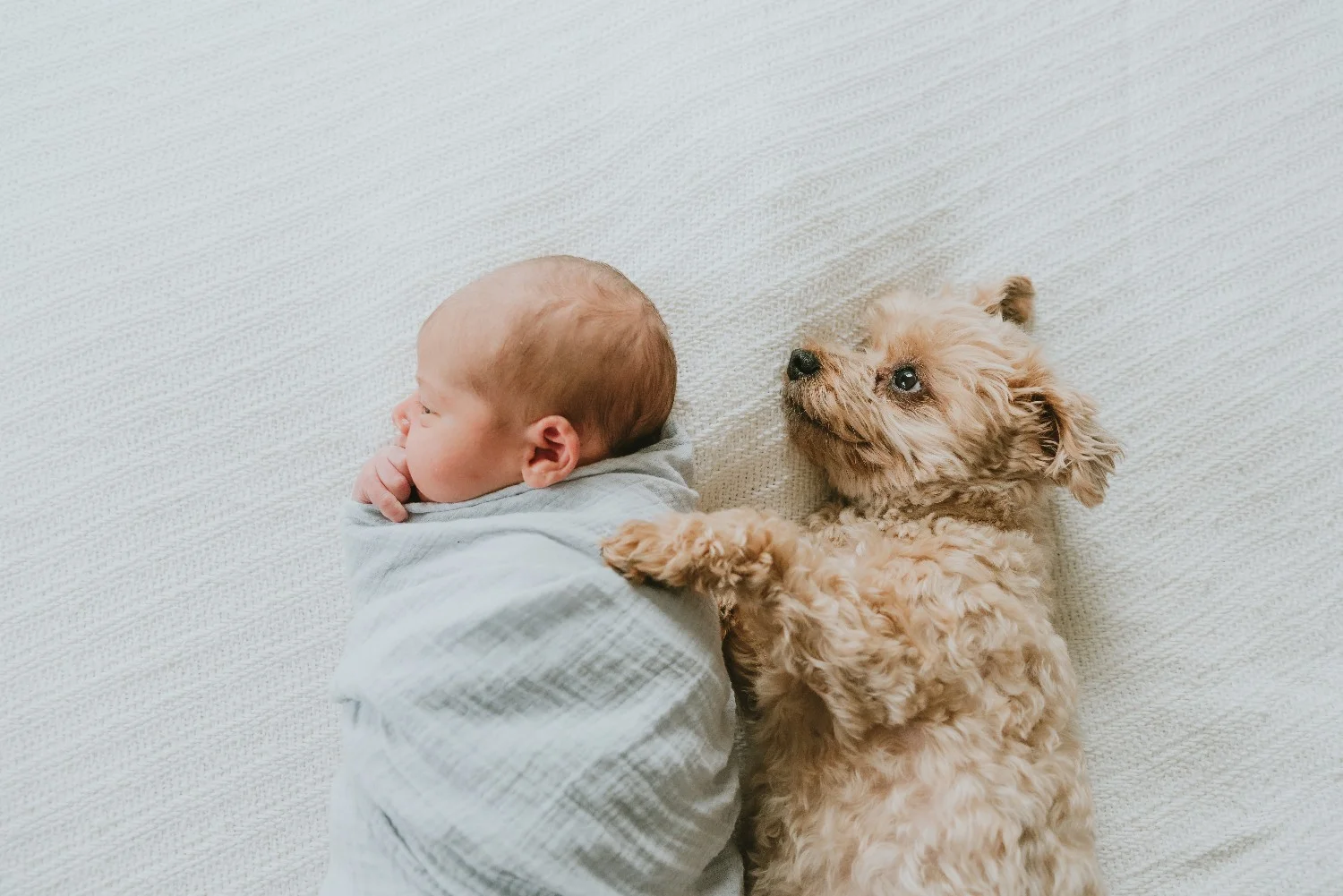 Lifestyle Newborn Photography Session Belmar New Jersey