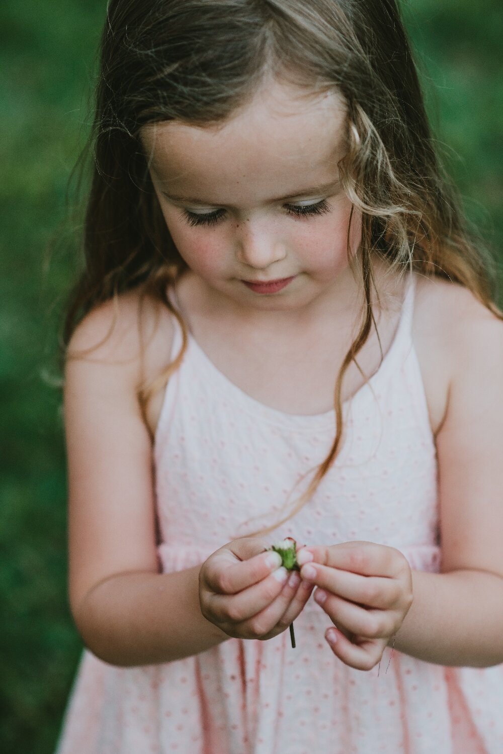 Image-of-Little-Girl-With-Dandelion