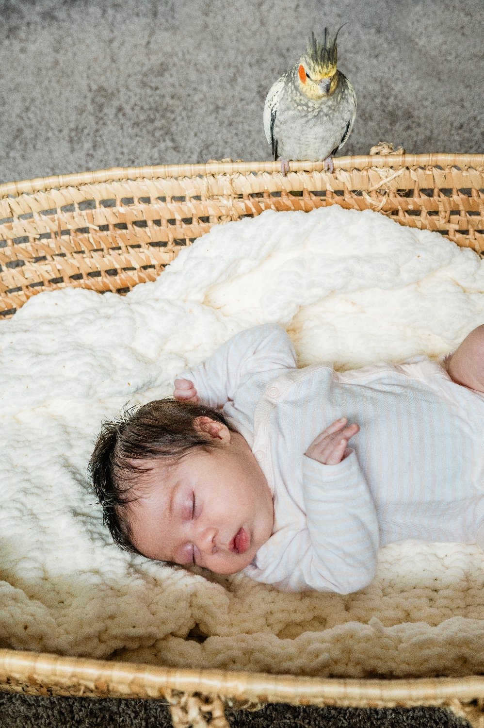 NJ-Newborn-Photography-Session-At-Home-18.jpg