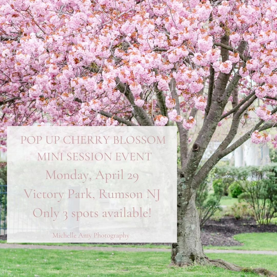 POP-UP MINI SESSION! Only 3 spots available!! The cherry blossoms are on their way out so I thought I'd put together a last minute event at Victory Park to document your family in front of these beautiful blooms. Sign-ups are in the link in my bio. K