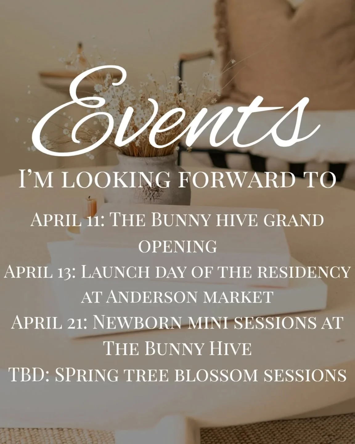April is full of fun events!

April 11: @thebunnyhivefortmonmouth grand opening! 
April 13: The Residency at @anderson.market launch day.
April 21: Hosting newborn mini sessions at @thebunnyhivefortmonmouth 
TBD: Spring Tree Blossom Sessions.

Sign u