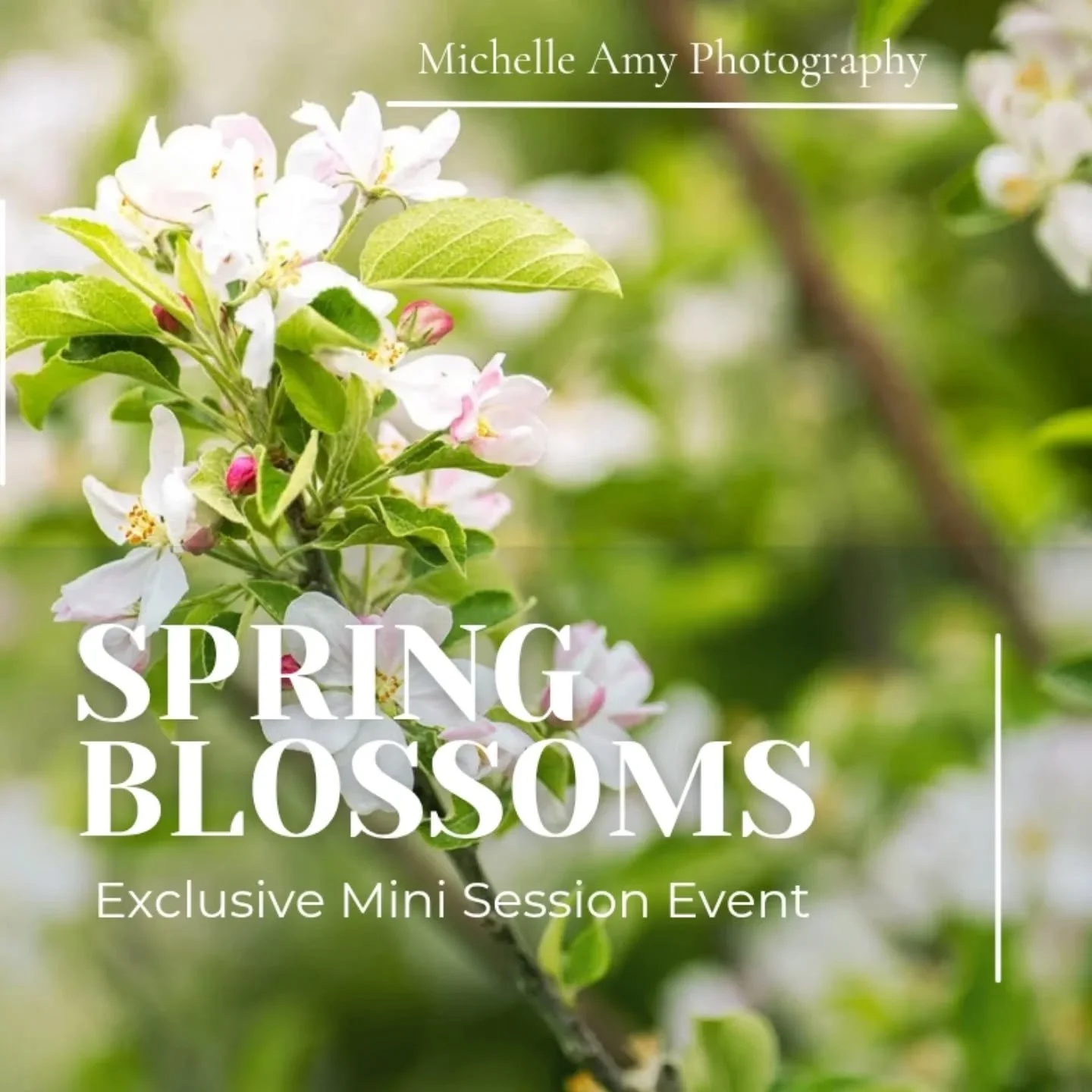 Apple Blossom Mini Session sign ups are live! I have set the date for April 26th. Link in my Linktree in bio.I hope to see you there!