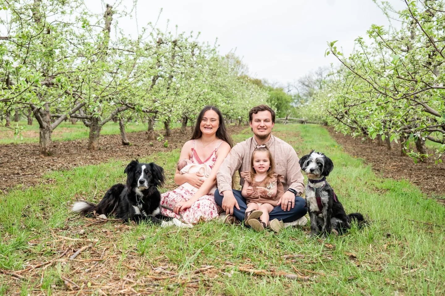 Dogs, baby, toddler, doting parents and early Spring blossoms. These are some of my favorite things.