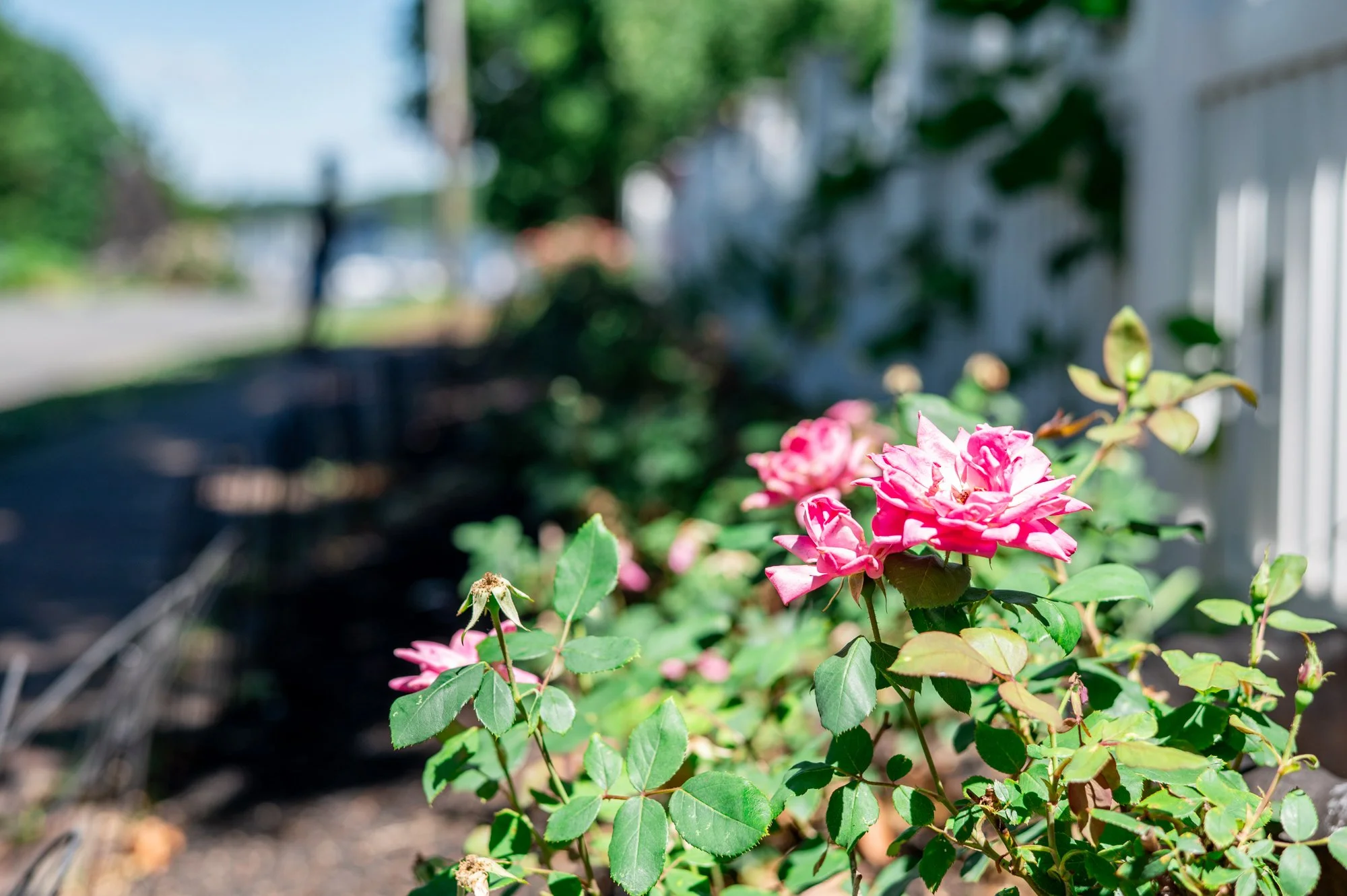 Fair-Haven-NJ-Neighborhood-35.JPG