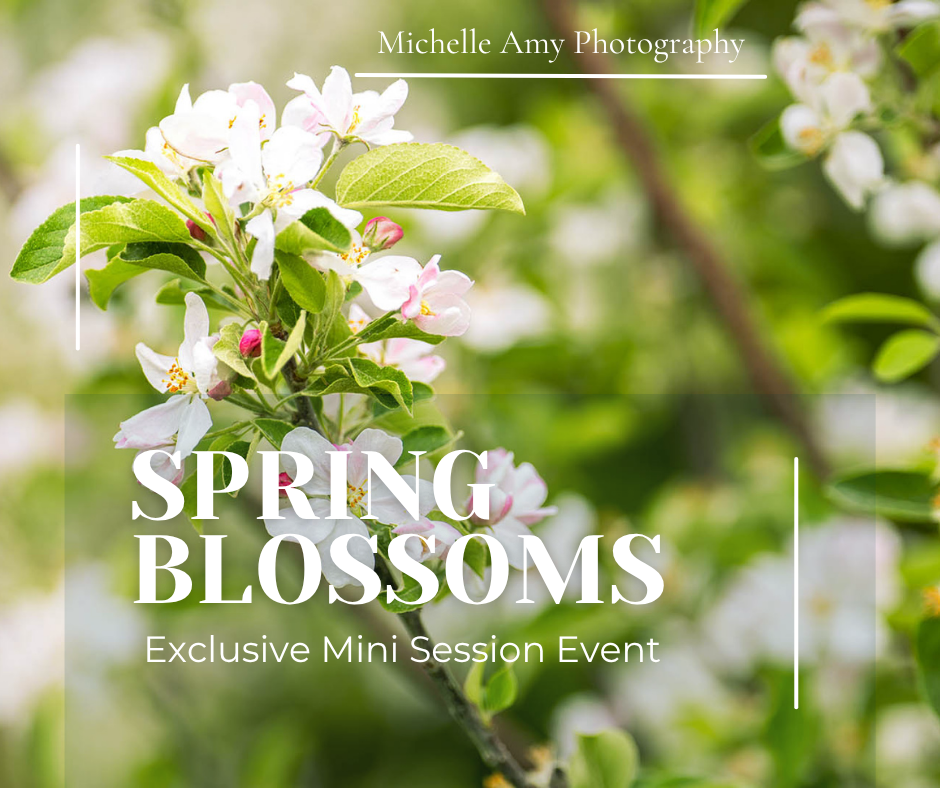 Apple Blossom mini photo session in Freehold NJ