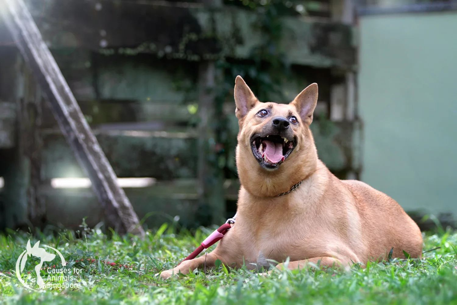 _MG_3011.jpg