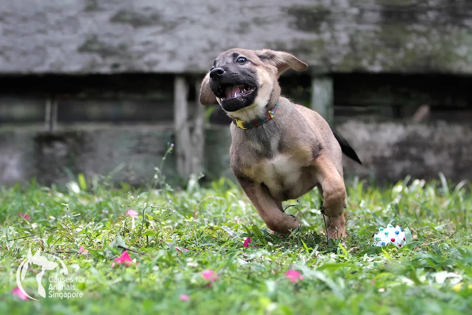 Arya takes flight