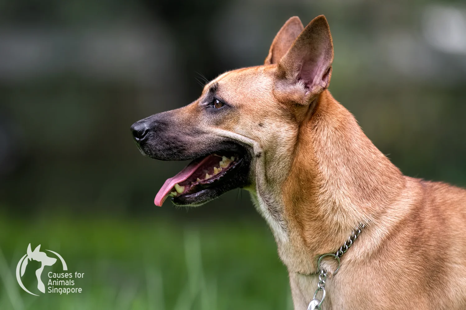 The super gorgeous Sandy