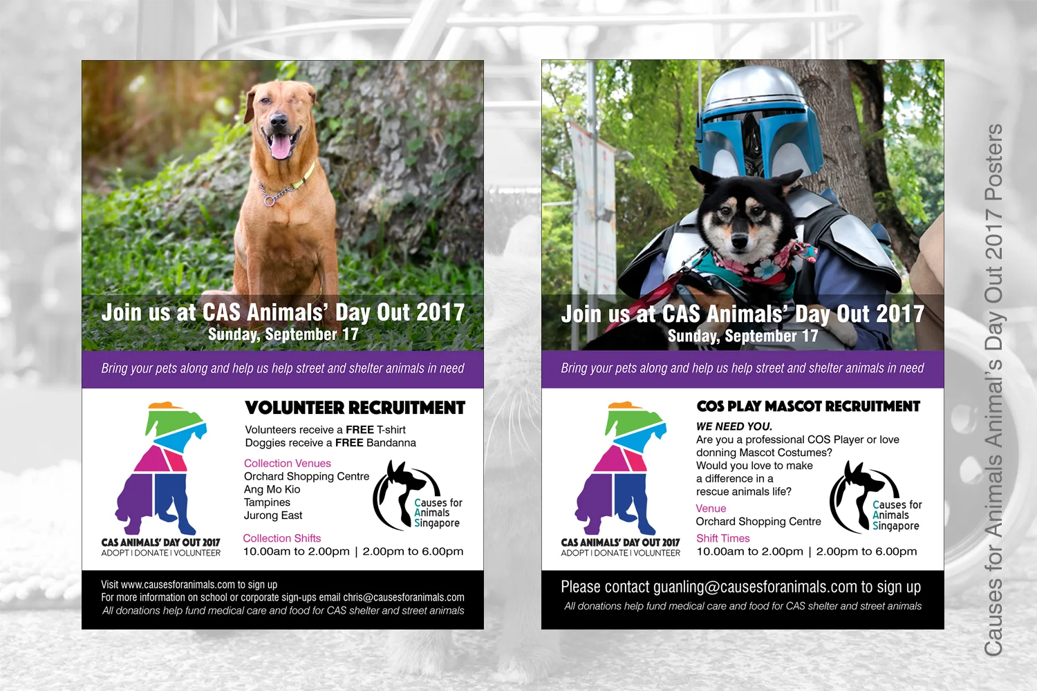 2017--Posters.jpg
