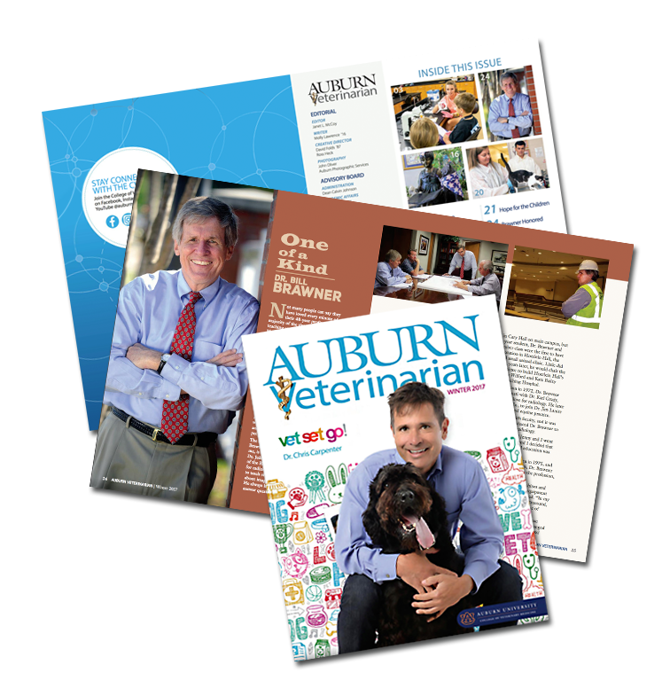 Magazine Redesign