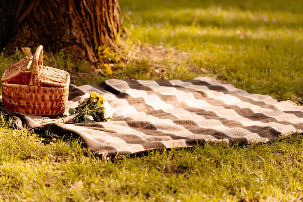 picnic.jpg