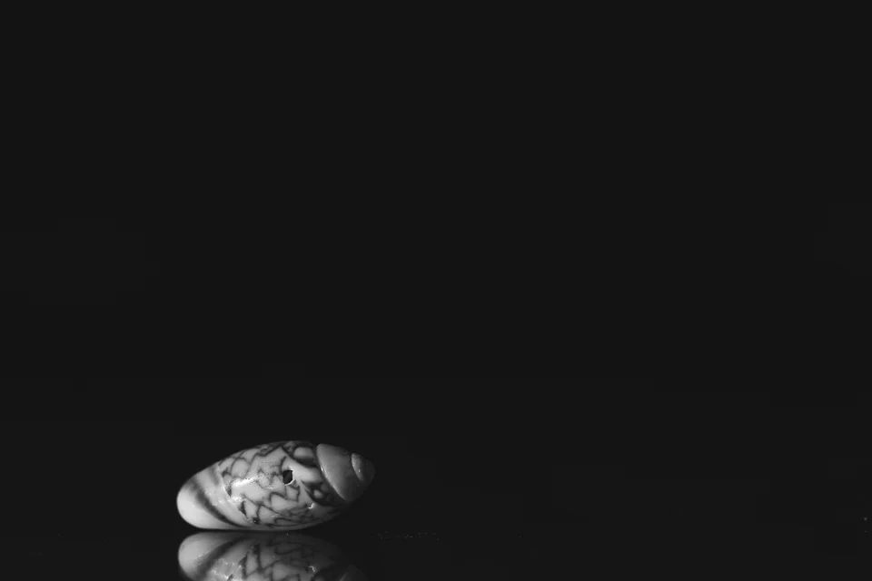 ocean treasures 7.jpg
