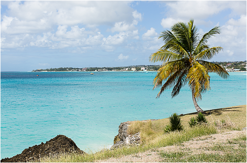 Barbados blog 2-6.jpg