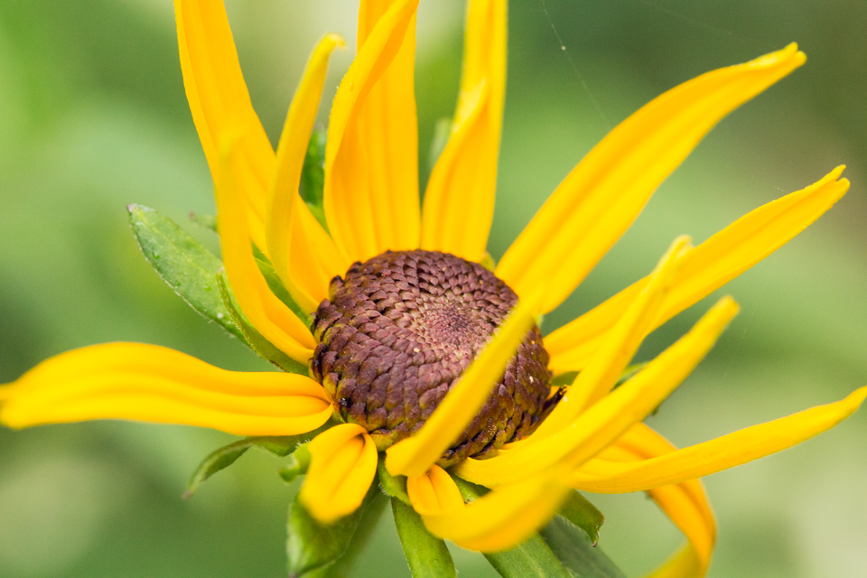 Amy Kristin Photography • Wakefield RI Photographer