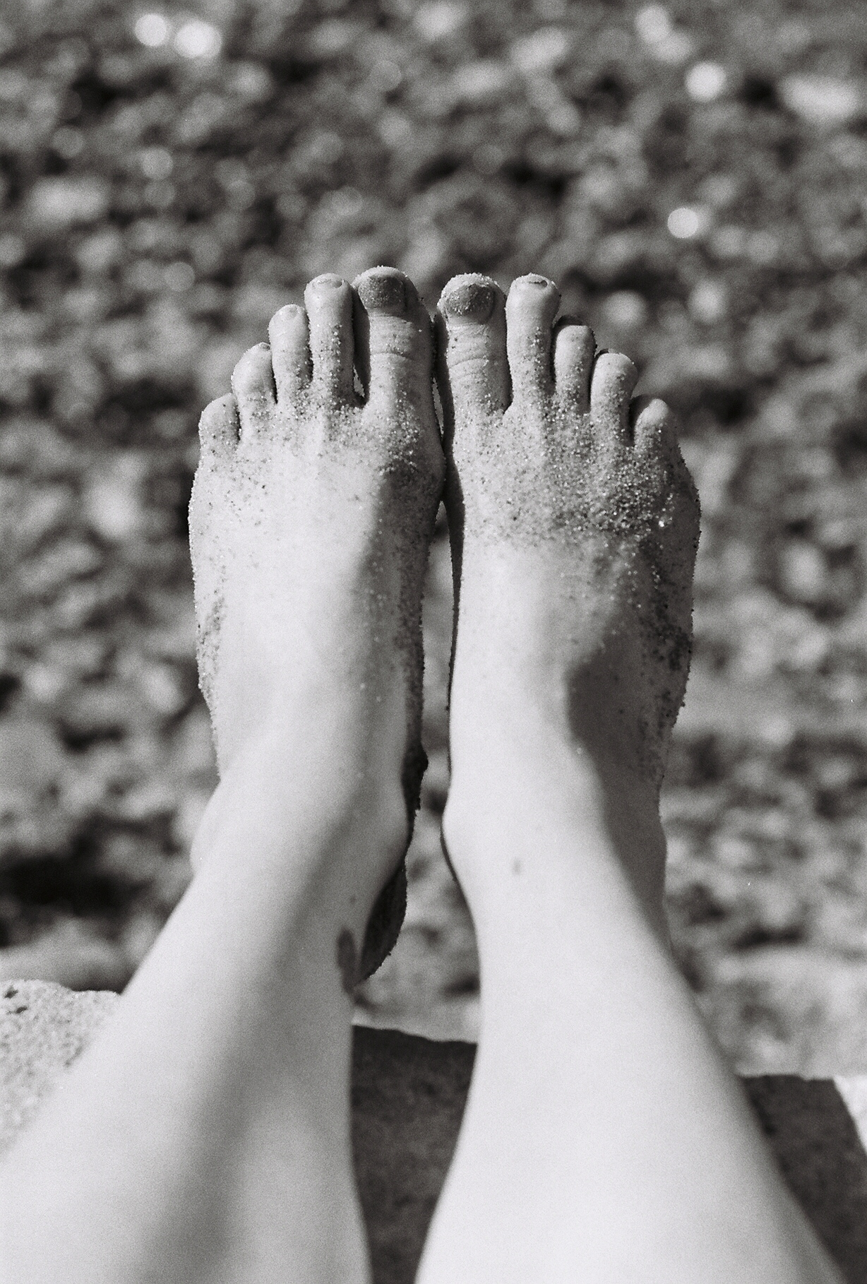 Amy Kristin Photography • Wakefield RI Photographer
