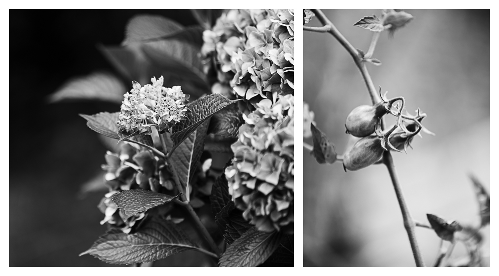 Amy Kristin Photography • Wakefield RI Photographer