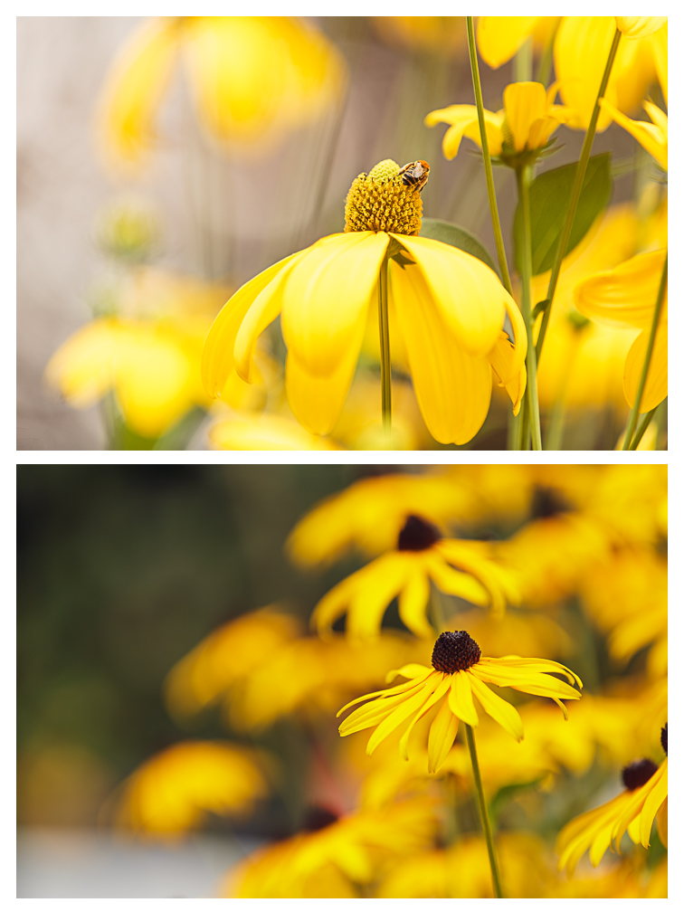 Amy Kristin Photography • Wakefield RI Photographer