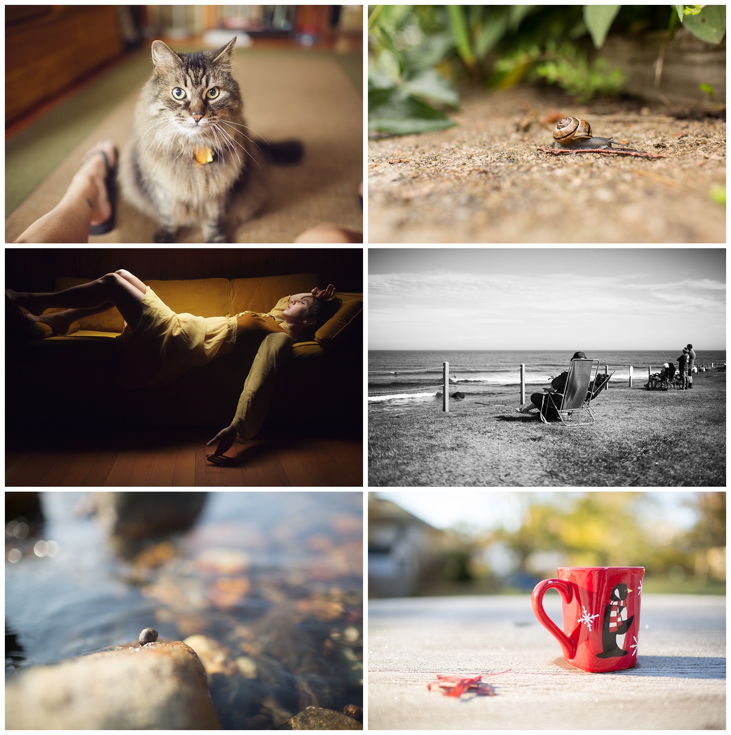 Amy Kristin Photography • Wakefield RI Photographer