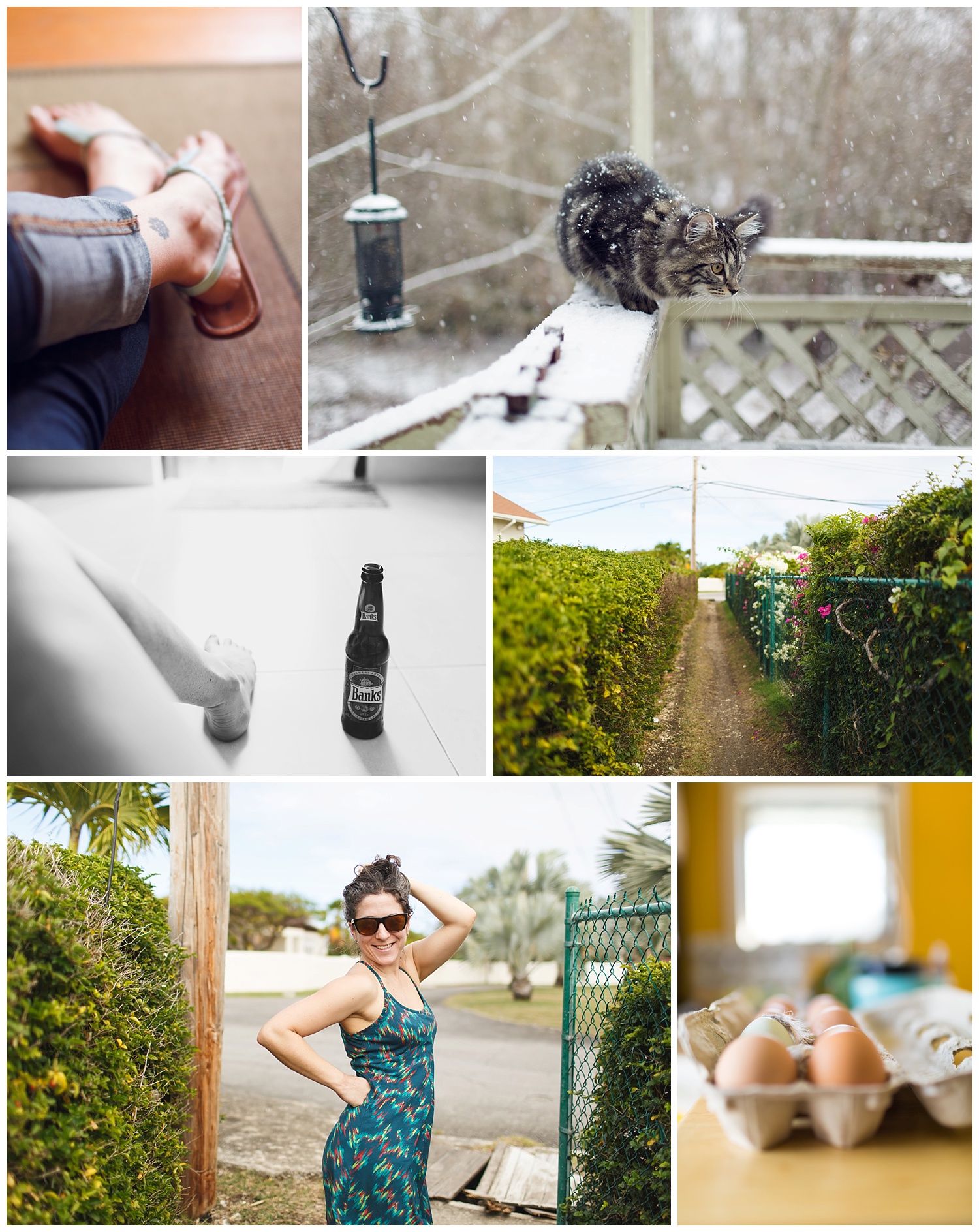 Amy Kristin Photography • Wakefield RI Photographer
