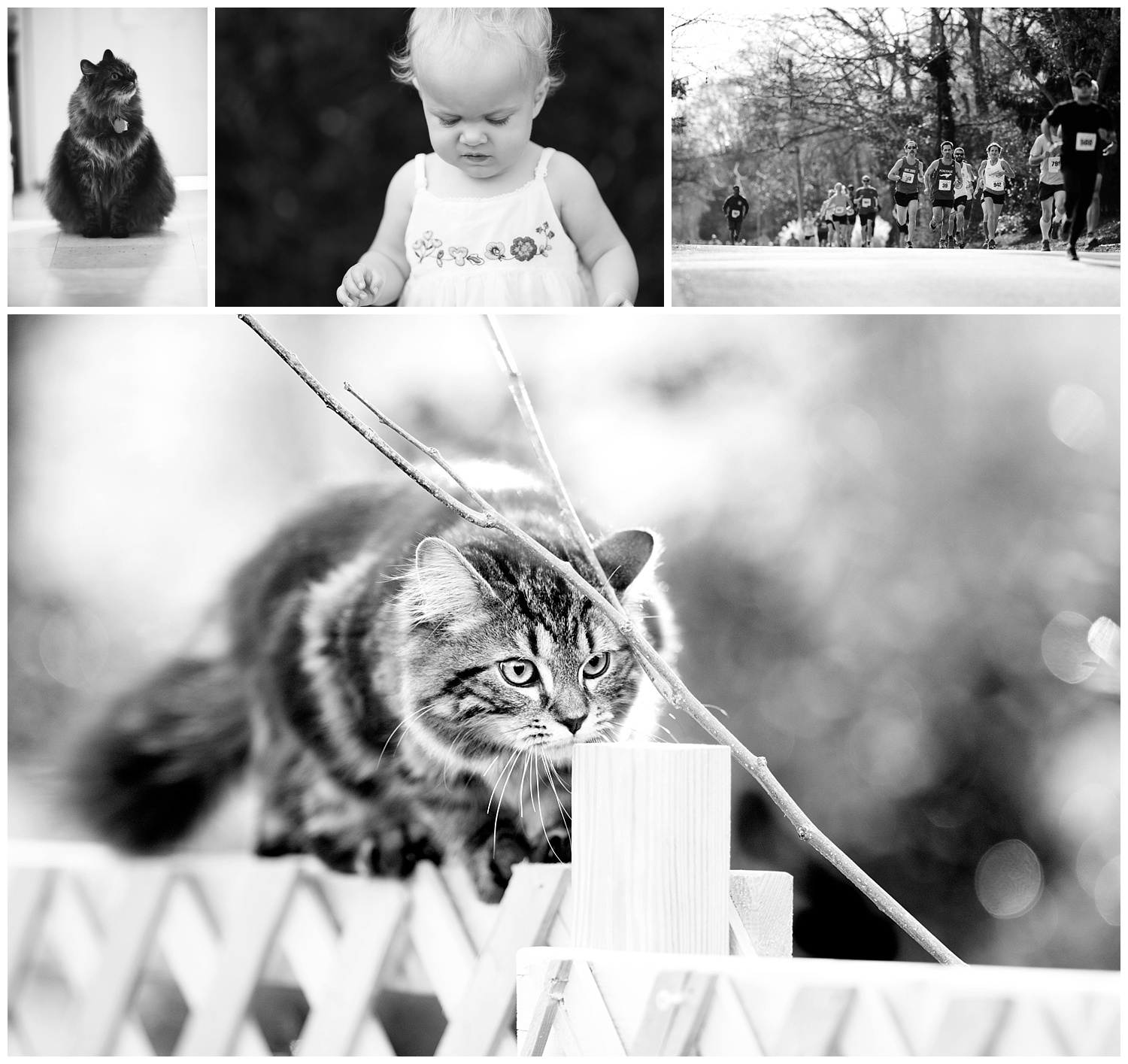 Amy Kristin Photography • Wakefield RI Photographer