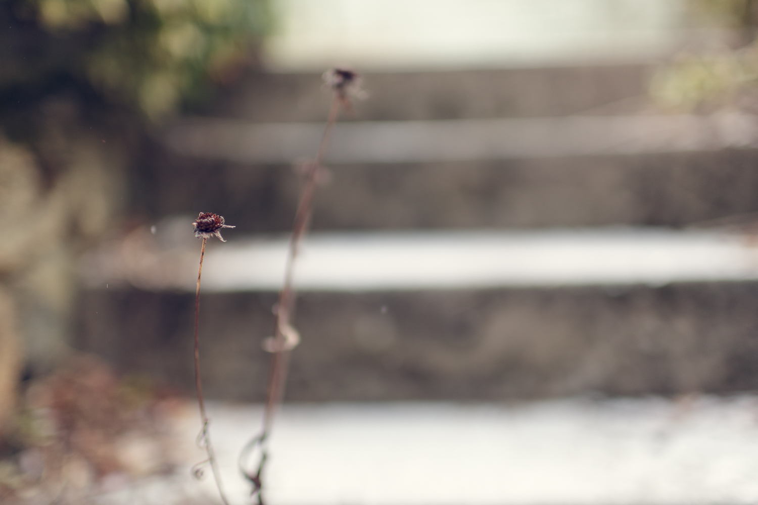 Amy Kristin Photography • Wakefield RI Photographer