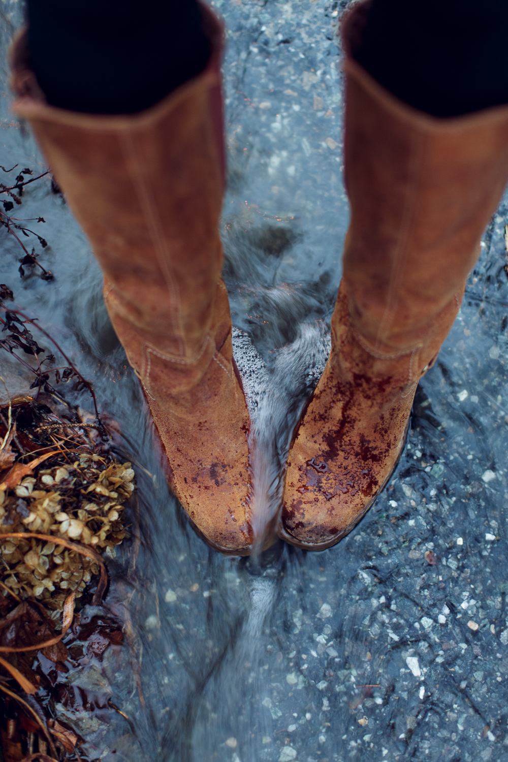 Amy Kristin Photography • Wakefield RI Photographer