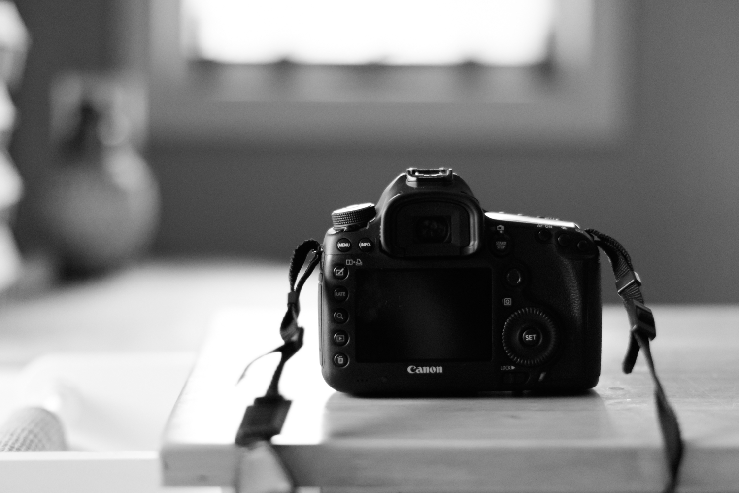 Amy Kristin Photography • Wakefield RI Photographer