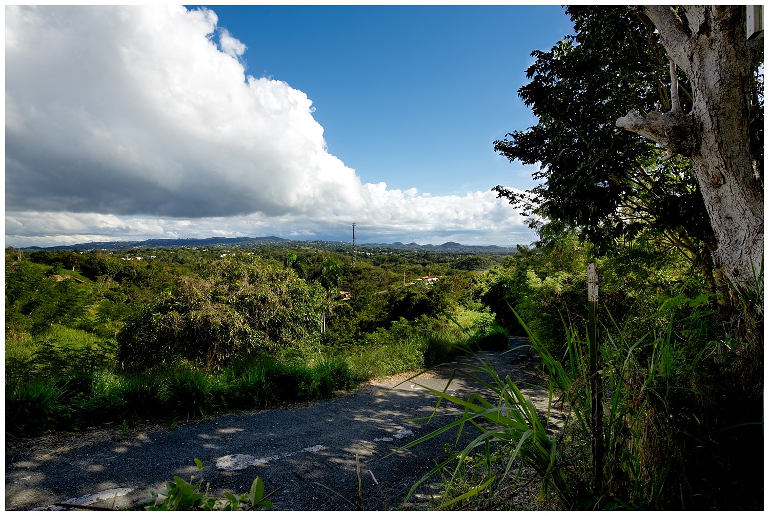 Amy Kristin Photography • RI Travel Photographer • Puerto Rico