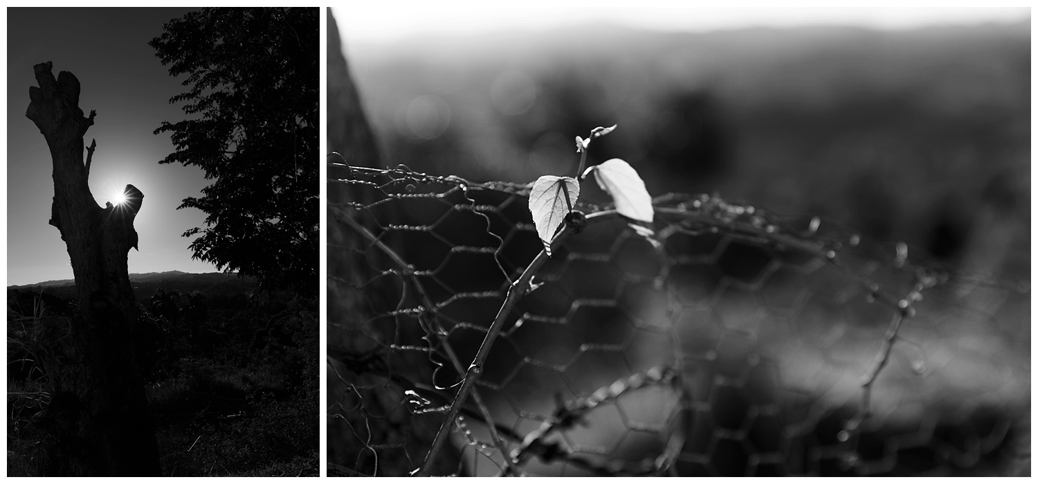 Amy Kristin Photography • RI Travel Photographer • Puerto Rico