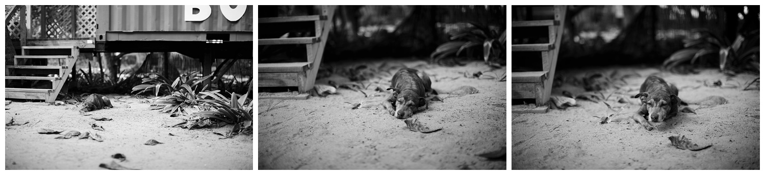Amy Kristin Photography • Wakefield RI travel photographer