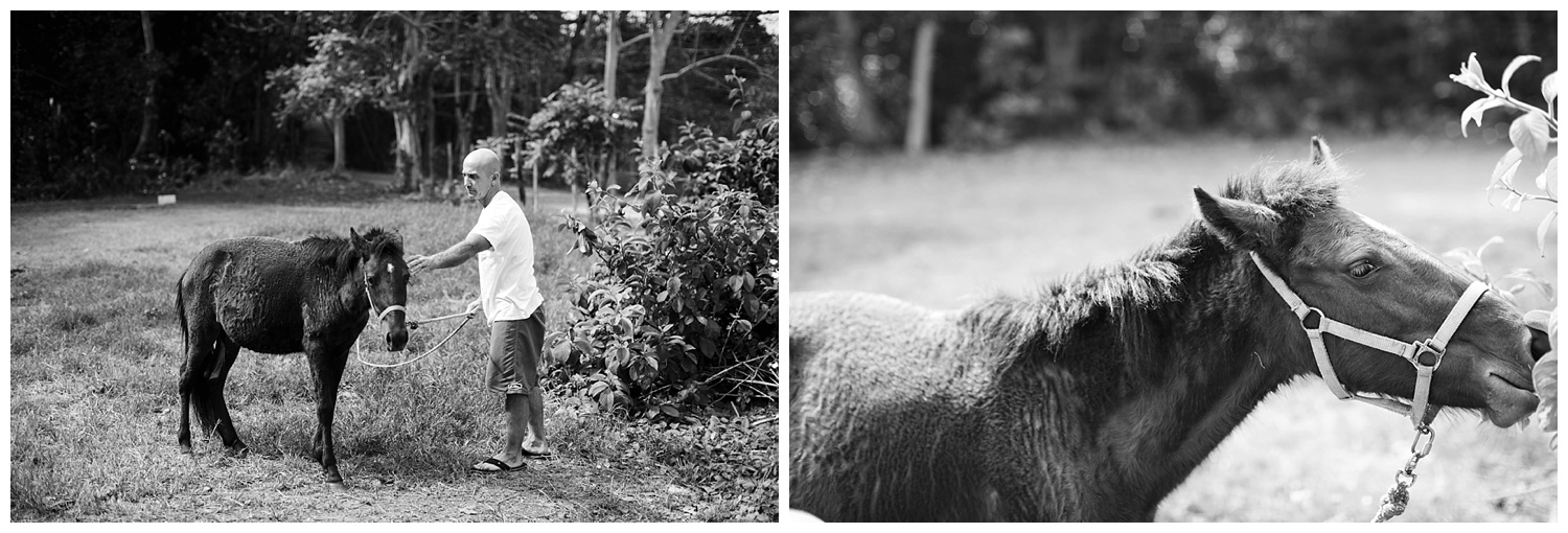 Amy Kristin Photography • Wakefield RI travel photographer