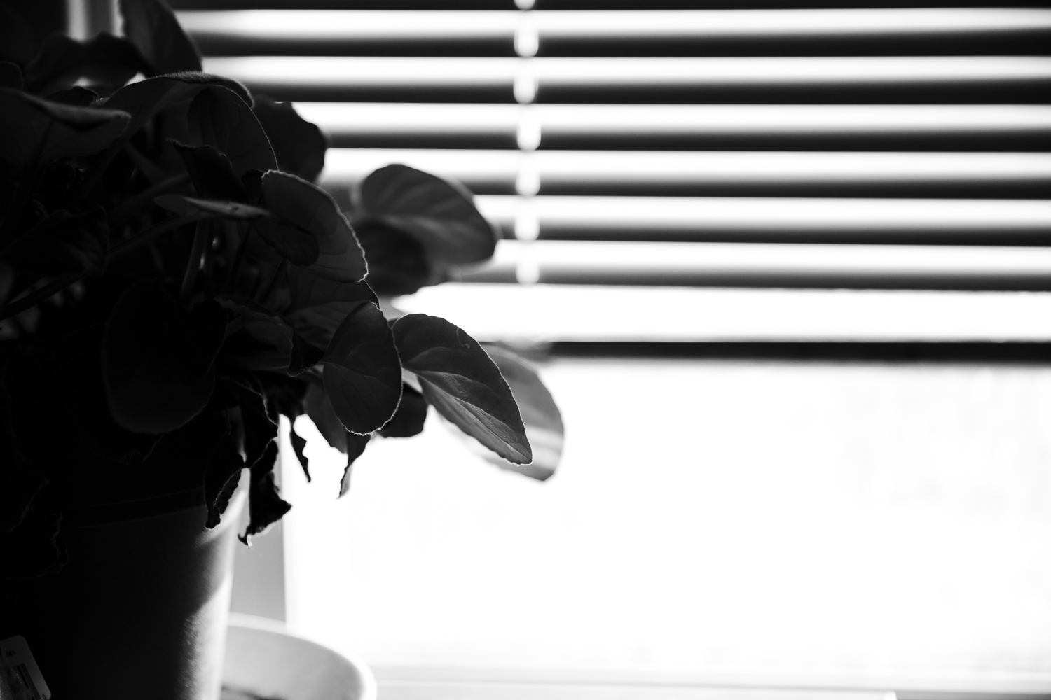 Amy Kristin Photography • Wakefield RI Photographer