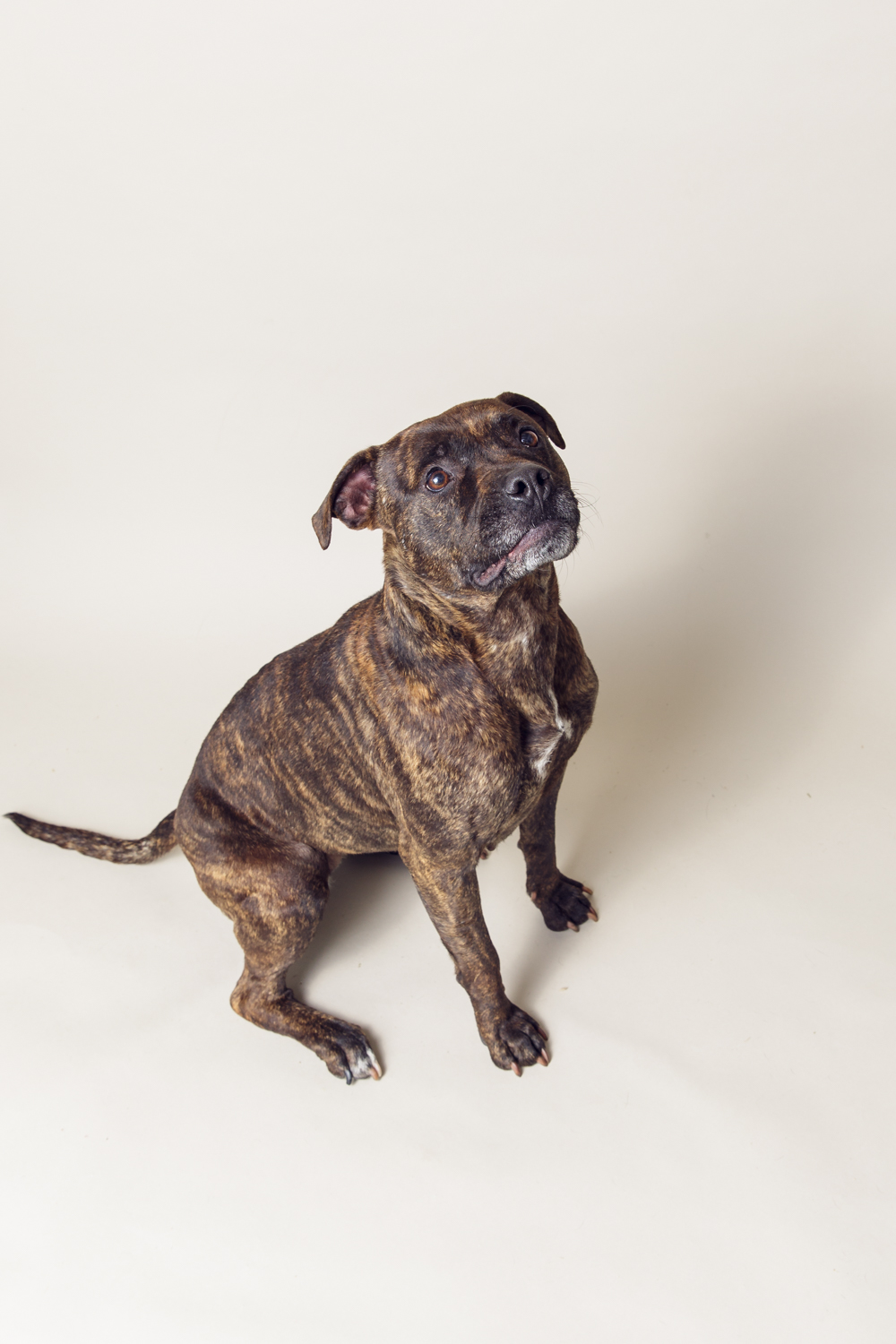 Amy Kristin Photography • Wakefield RI Photographer