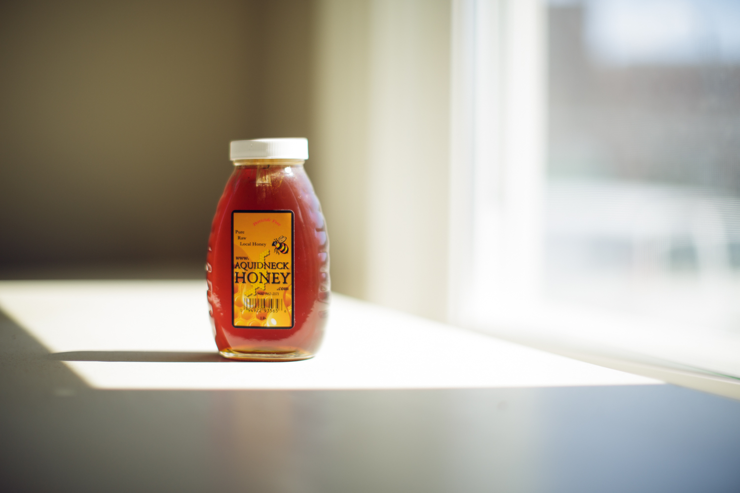 Amy Kristin Photography • Wakefield RI Photographer