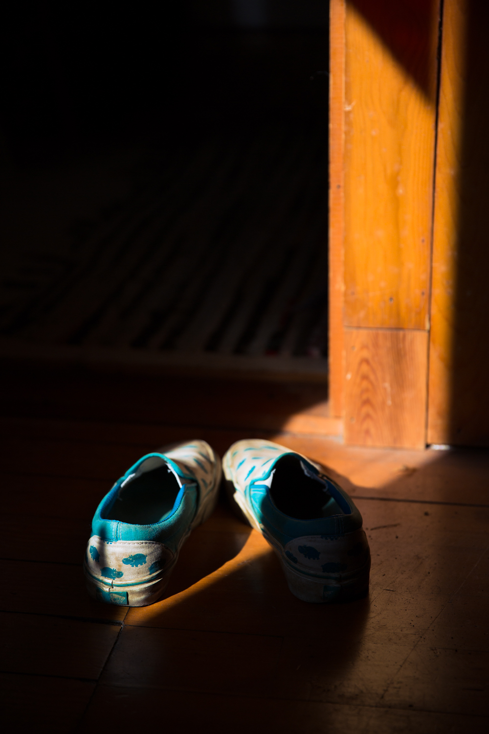 Amy Kristin Photography • Wakefield RI Photographer