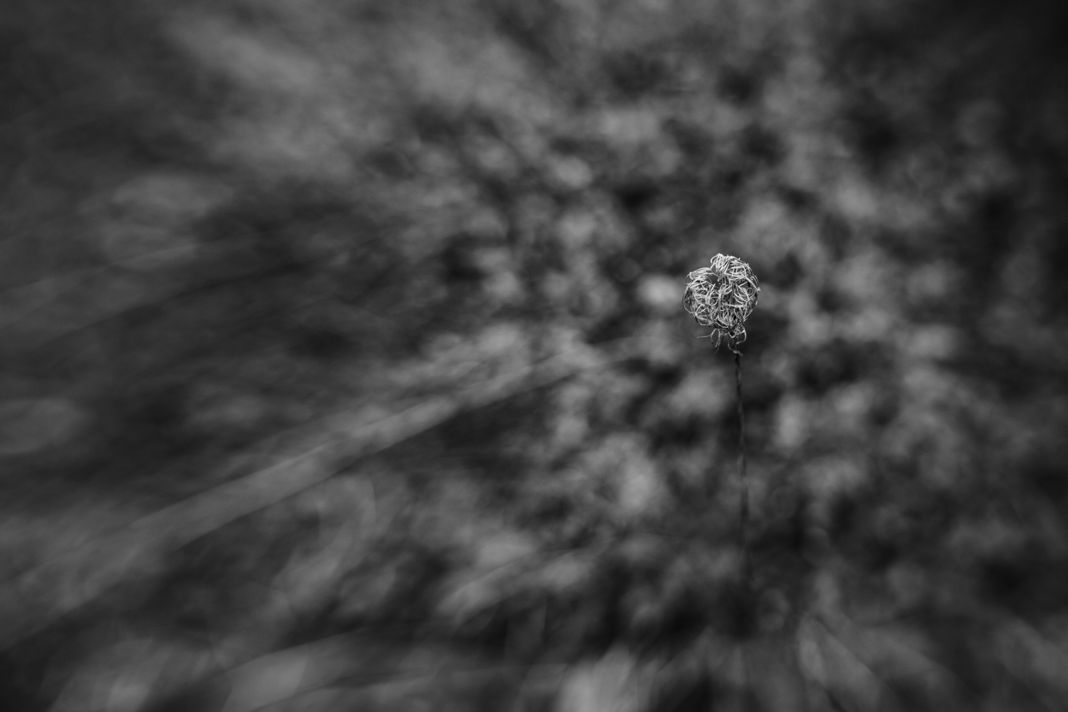 Rhode Island Photographer