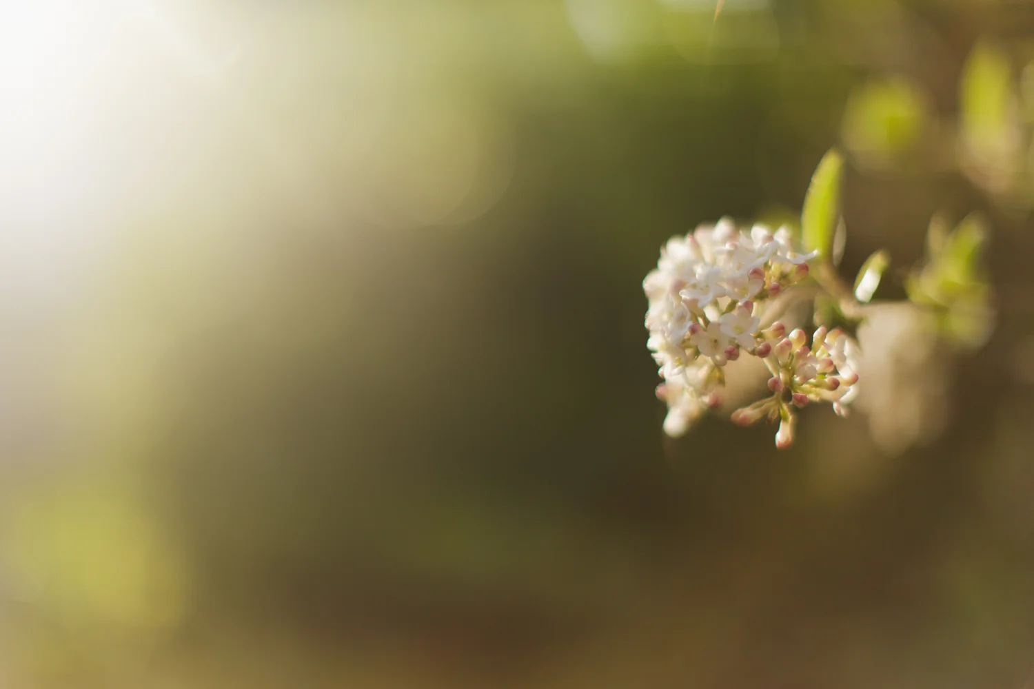 Amy Kristin Photography • Rhode Island Photographer